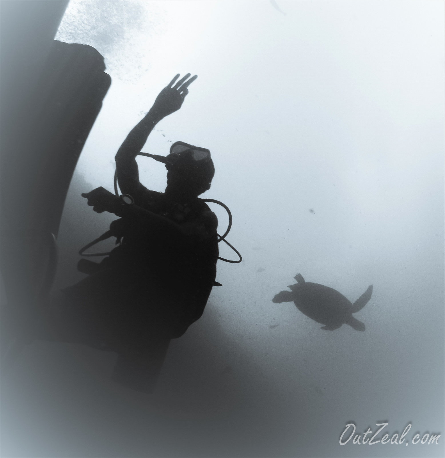 Diving Image