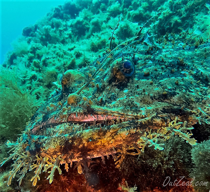 Diving Image