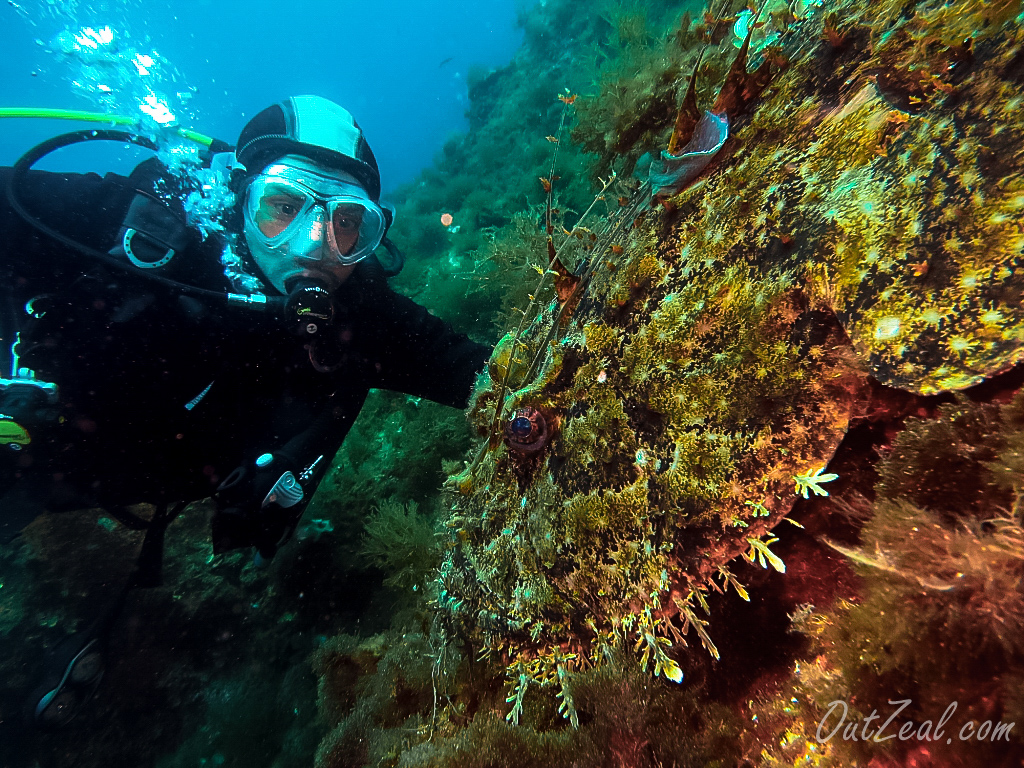 Diving Image