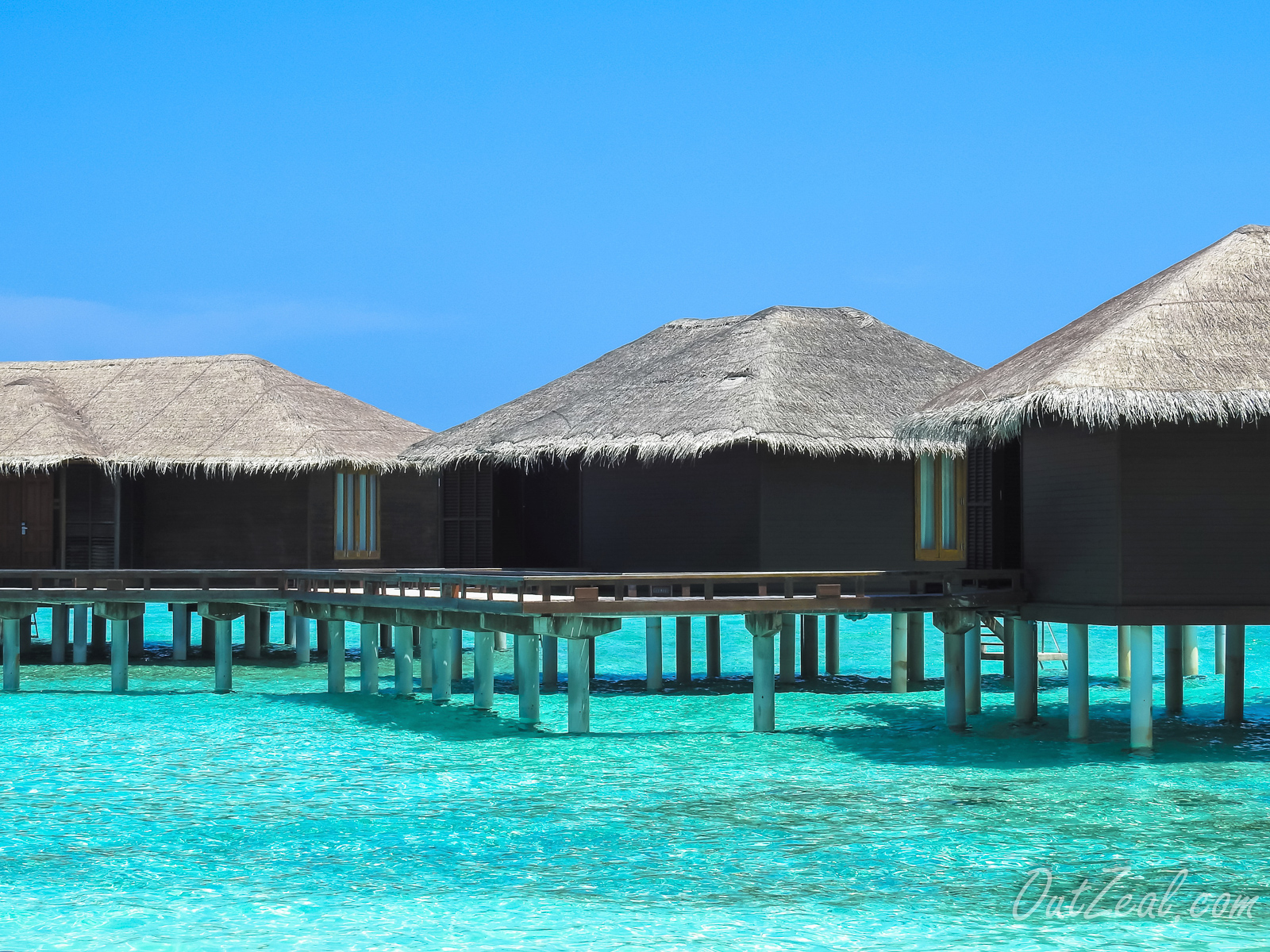 Maldives Image