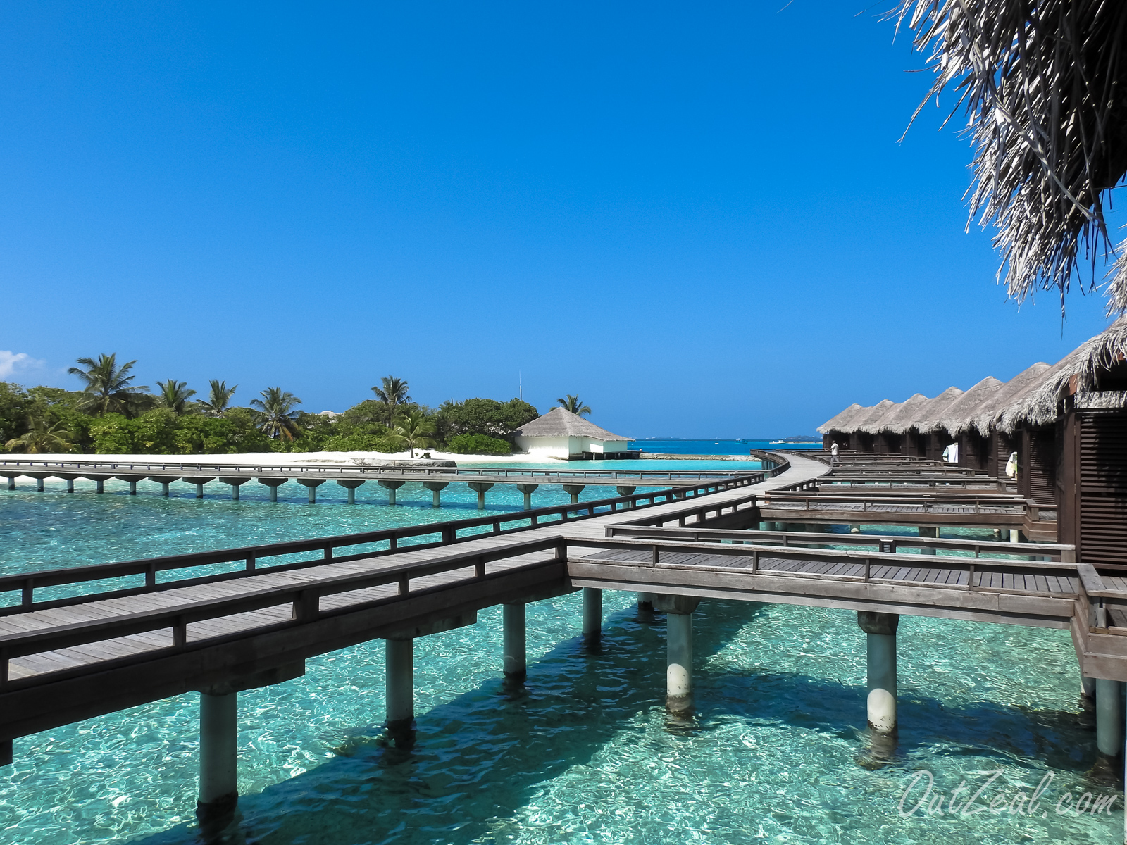 Maldives Image