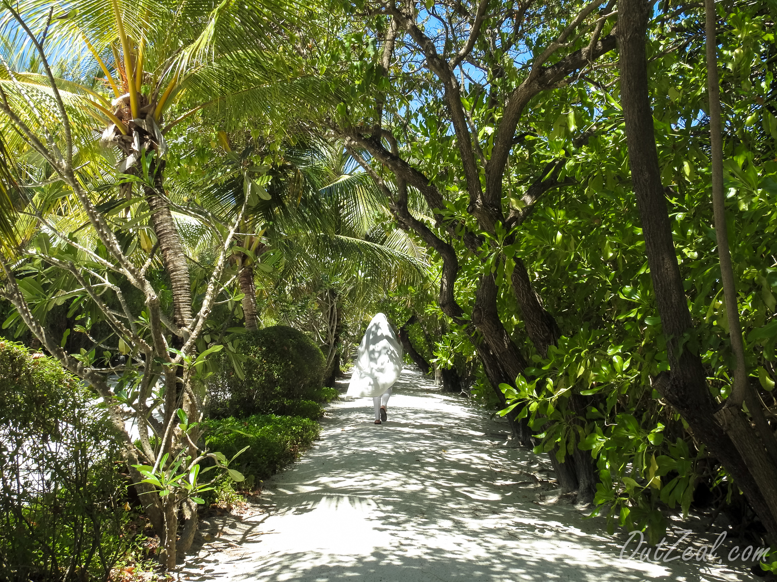 Maldives Image