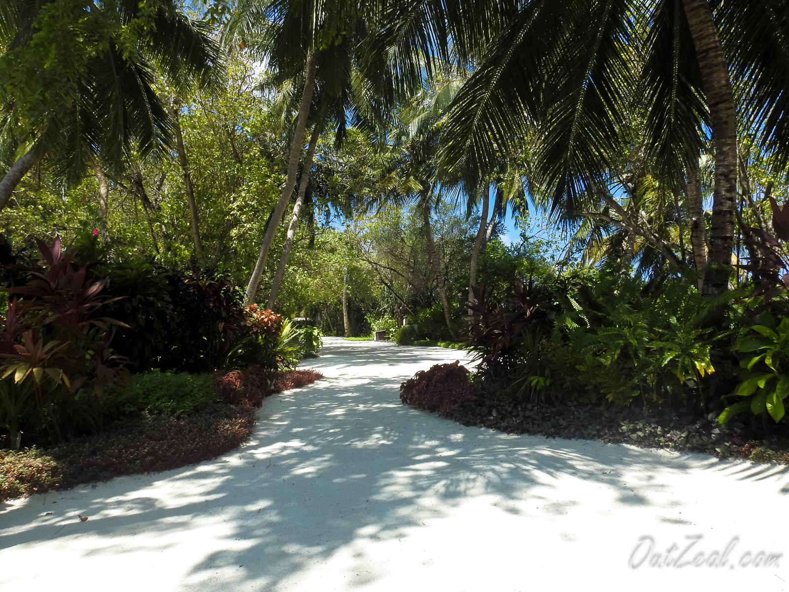 Maldives Image
