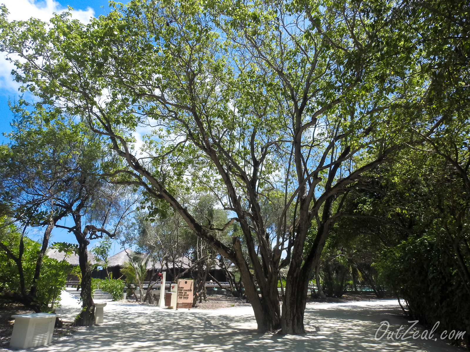 Maldives Image