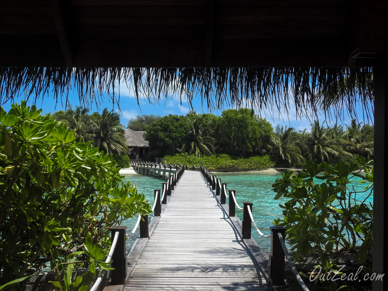 Maldives Image