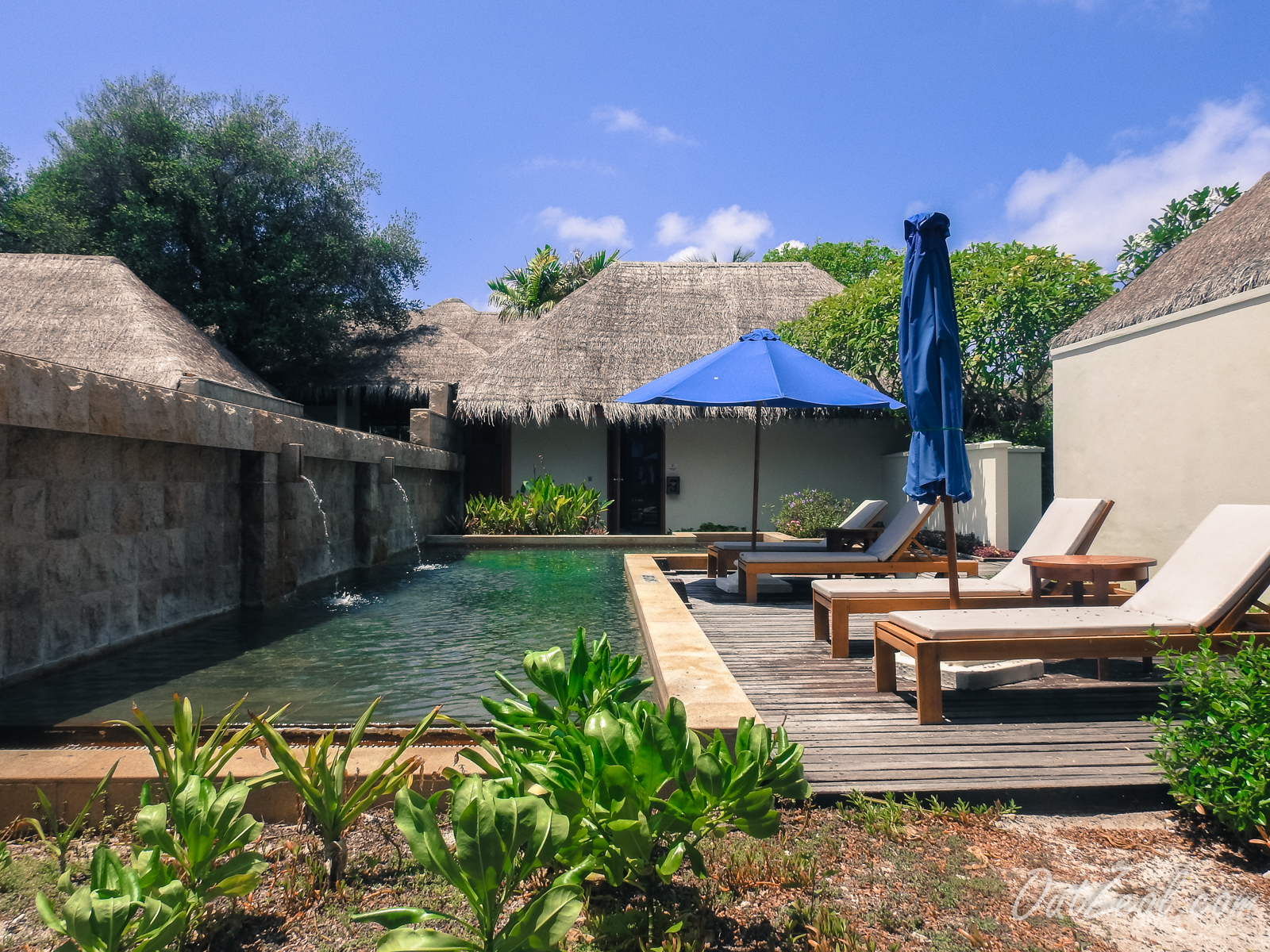 Maldives Image