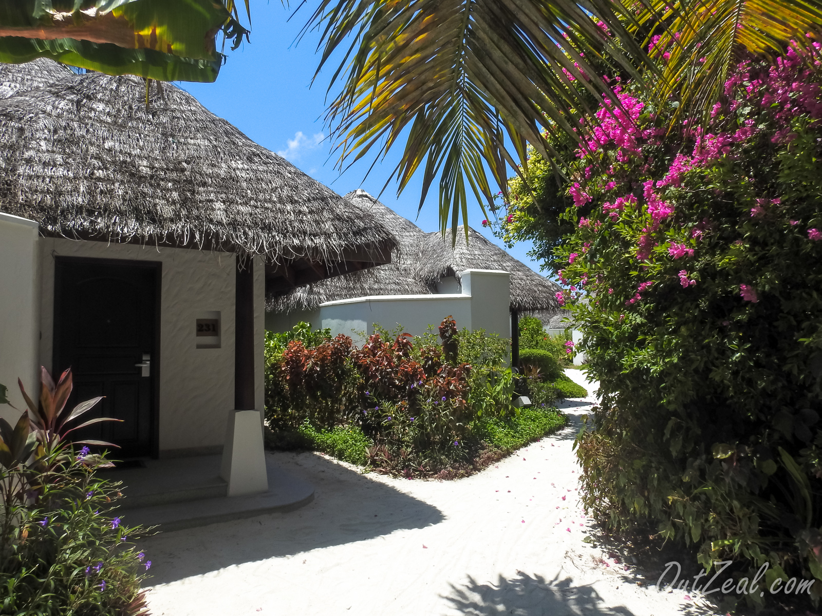 Maldives Image