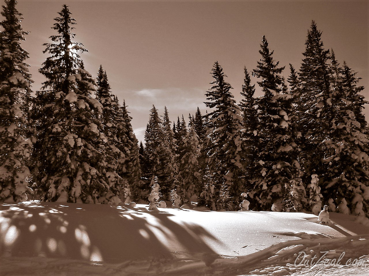 Skiing Image